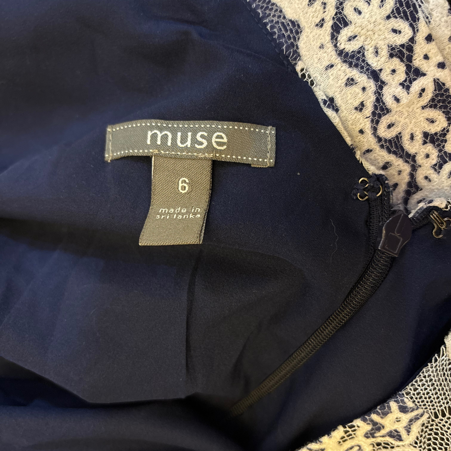 Muse Navy & White Dress