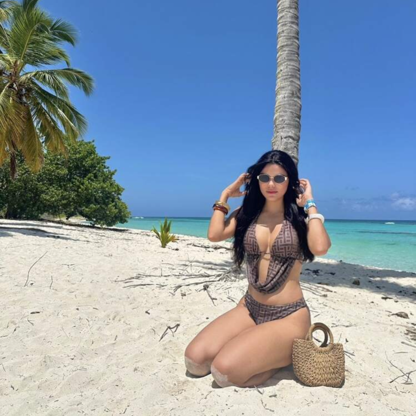 Brown & Black Printed Three Piece Bikini Set