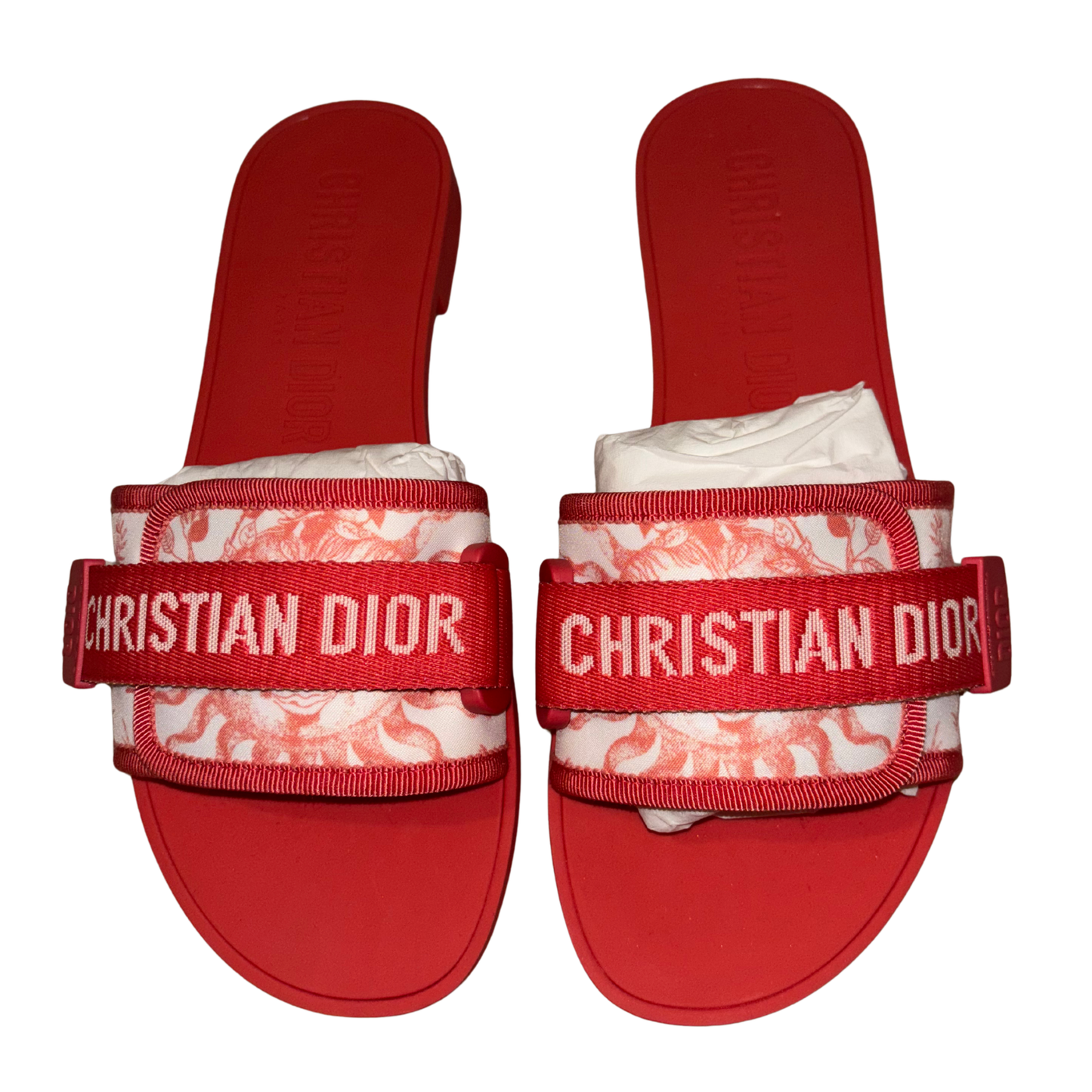 Dior Evolution Slides