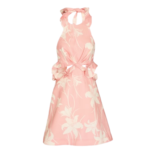 Zimmermann 'Arcadia' Floral Mini Dress