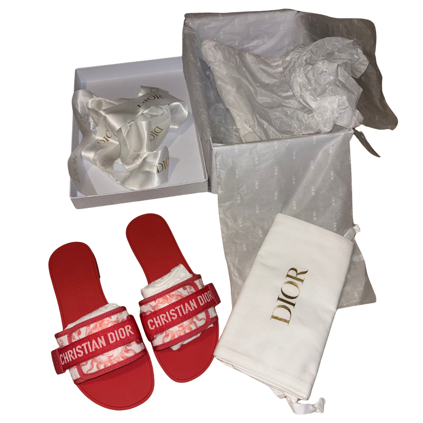 Dior Evolution Slides