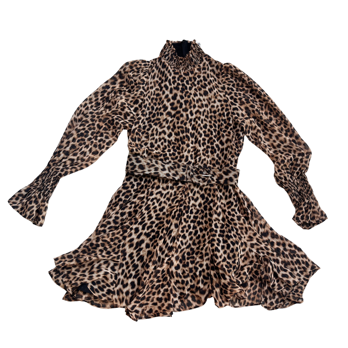 Zara Leopard Print Mini Dress
