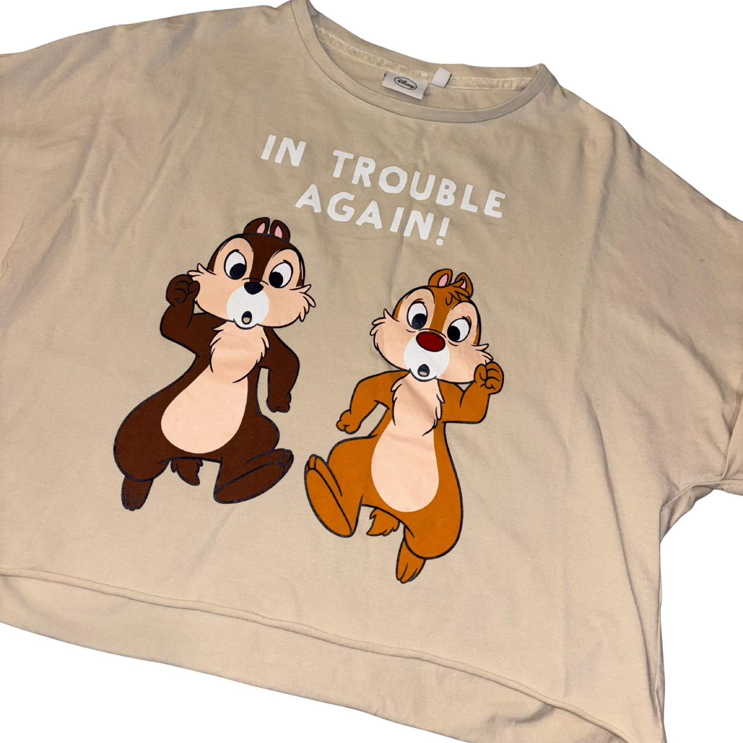 Disney 'Chip n Dale' Crop Top
